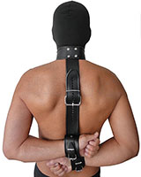 Leather Back Neck and Arm Restraints