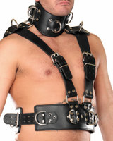 Blank Leather Chest Bondage Harness with Collar