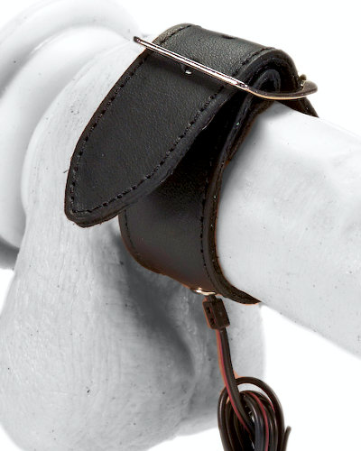 (Bild für) Bi-polarer Penisriemen aus Leder mit Schnalle für E-Stim