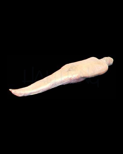 (Bild für) Bondage-Folie - vorgespannt - transparent - 300 m (0,09 €/M)
