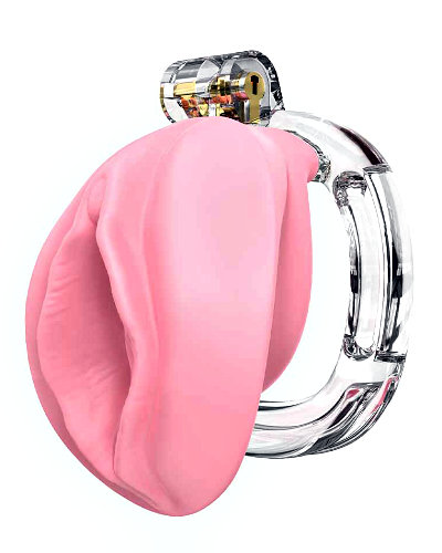 (Bild für) Keuschheitskäfig PUSSY im Vagina-Design - pink